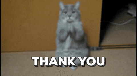 A cat that is also very thankful